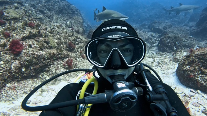 Scuba diver underwater near a reef, highlighting career opportunities for women in Queensland's blue economy sector.