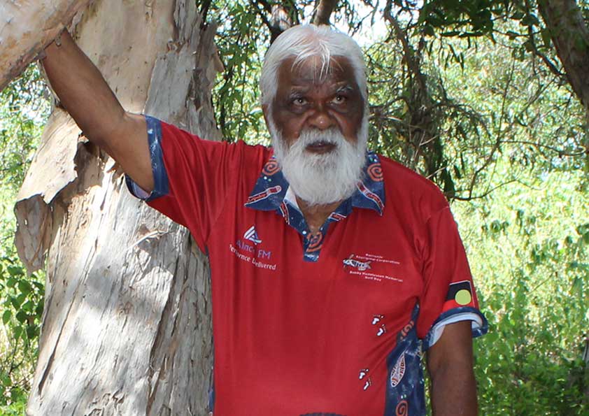 An older First Nations man with a white beard and hair stands next to a paperbark tree.