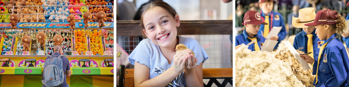 A collage of images. Image 1 shows a wall of colourful carnival game prizes. Image 2 shows a young girl holding a baby chick. Image 3 shows child judges at a sheep sheering competiton.